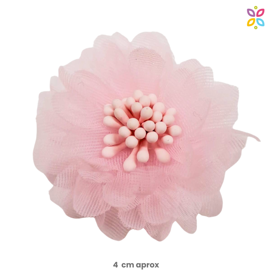 Flor Pistilos
