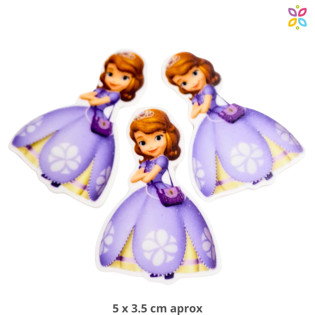 Princesas flat y  resinas